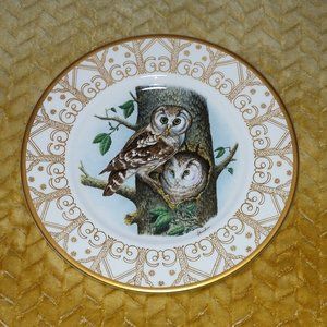 Edward Marshall Boehm Owl Plate Fine Bone China Boreal Owl EUC.